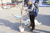 Happening Poslední alej