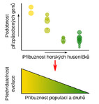 předvídatelná evoluce