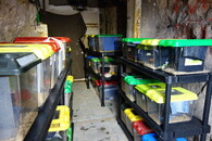 přezimovací stanice