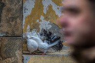 Kategorie - Příroda v Praze: Jiří Durdík - Prosím před lidmi ne