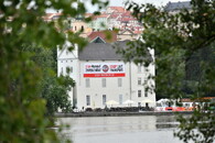 Mezinárodní den STOP přepravě živých zvířat 
