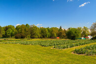 Průhonická botanická zahrada