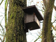 ptačí budka rehkovník