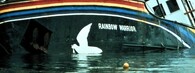 Greenpeace Rainbow Warrior 1985