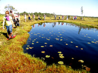 Turisté v rašeliništi