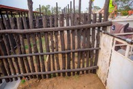 návrat nosorožců do Rwandy