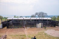 návrat nosorožců do Rwandy