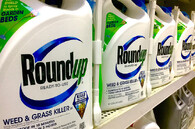 Roundup