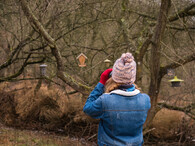 pozorování ptačího krmítka