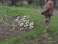 Drevljanská přírodní rezervace 