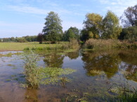 Sedmihorský mokřad