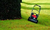 Sekačka na trávu