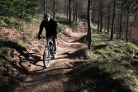 Cyklista na singltreku pod Smrkem