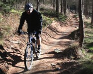 Cyklista na singltreku pod Smrkem