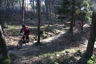 Cyklista na singltreku pod Smrkem