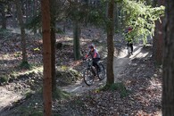 Cyklista na singltreku pod Smrkem