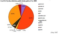 Podíl výroby elektřiny v České republice 2009