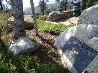 strom George Harrisona