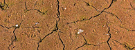 Vyprahlá zem.
