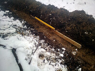 svejl v lese v Mníšku pod Brdy