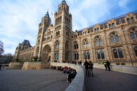 Přírodopisné muzeum v Londýně