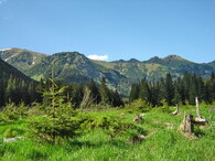 Tichá dolina ve Vysokých Tatrách