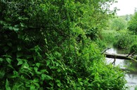 Národní přírodní rezervace Křivé jezero pod Pálavou na Břeclavsku