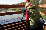 csop_tremesskerybniky