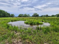 Tůň v Ptačím parku Kosteliska