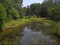 přírodní památka Na Plachtě