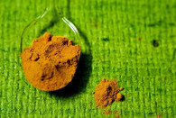 Kurkuma (Haldi), případ tzv. biopirátství