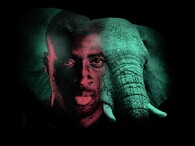 Kampaň Wild For Life