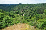 Ústí řeky Chvojnice do Oslavy