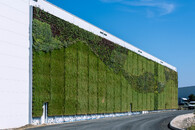 vertical_garden_ctpark-prague-north_september25.jpg
