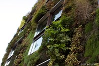 Vertikální zahrada Patricka Blanca (0)