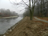 Úprava břehů řeky Bečvy u Přerova