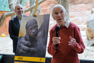 Jane Goodall a Miroslav Bobek
