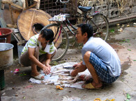 porcování zabitého psa