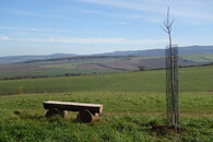 Naučná stezka Kronika slavkovské krajiny