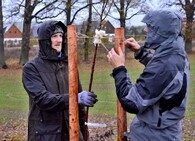 Výsadba stromů Stromy místo letáků