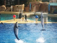 Marineland