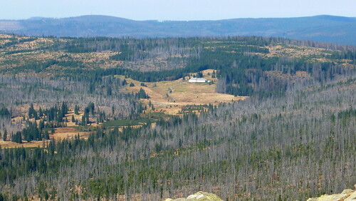 Březník z Luzného.