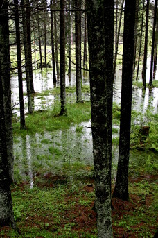 Povodně na Šumavě 2013