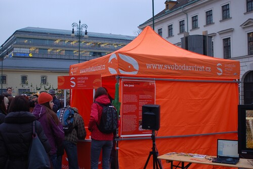 Demonstrace na Světový den bez kožešin
