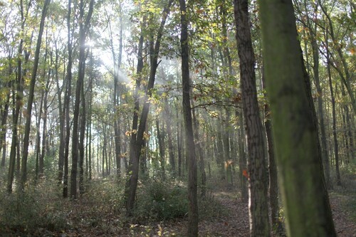 Ukliďme svět na Barrandově