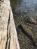 Voda Černého jezera je pořád krásně průhledná, ale o moho metrů méně než v 80. letech. Je tu přece jen více živo...