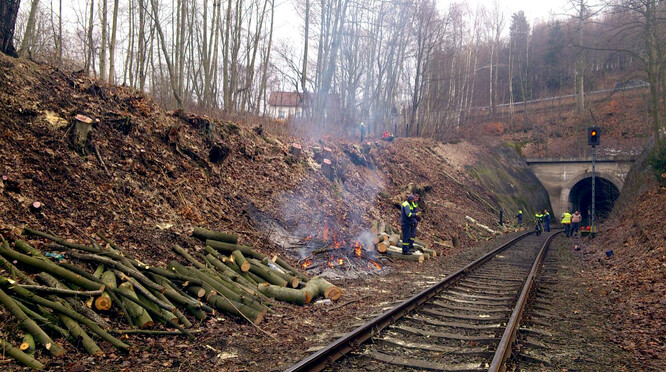 Kácení dřevin v obvodu dráhy na Liberecku v rámci údržby železniční tratě.