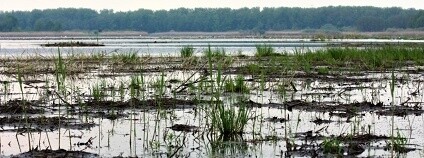 Foto: Vlastimil Peřina / Agentura ochrany přírody a krajiny