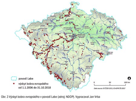 Obr. 3 - Výskyt bobra evropského v povodí Labe (zdroj