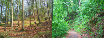 Foto: Václav Polášek / archiv autora